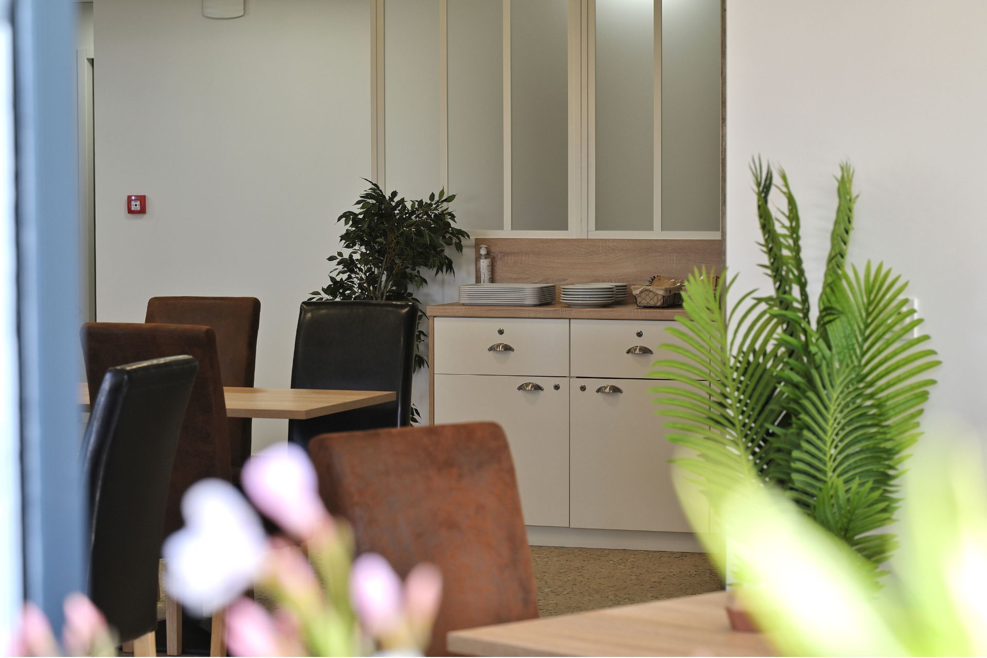 Résidence de tourisme à Ajaccio en Corse-du-Sud | Résidence Easy Lodge